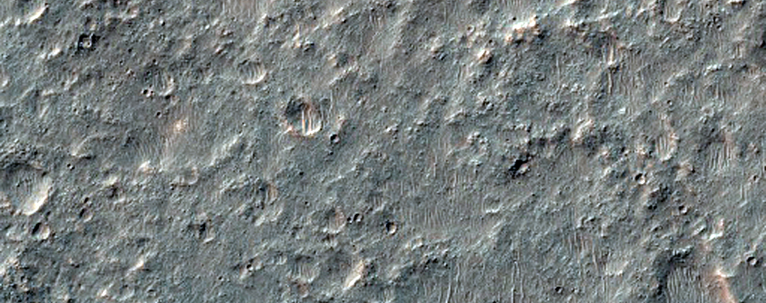 Possible Olivine-Rich Terrain in Thaumasia Planum