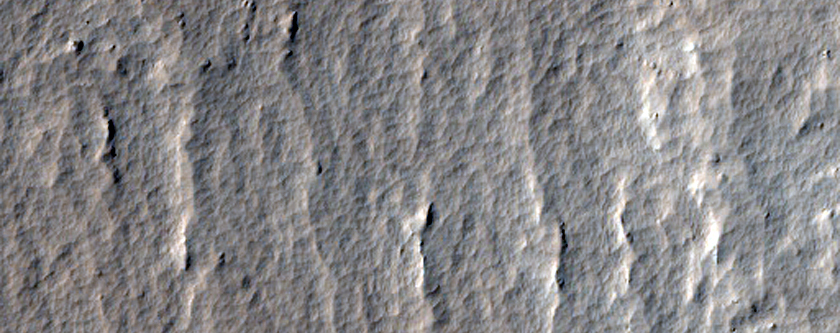 Distal Margins of the Western Ejecta of Corinto Crater