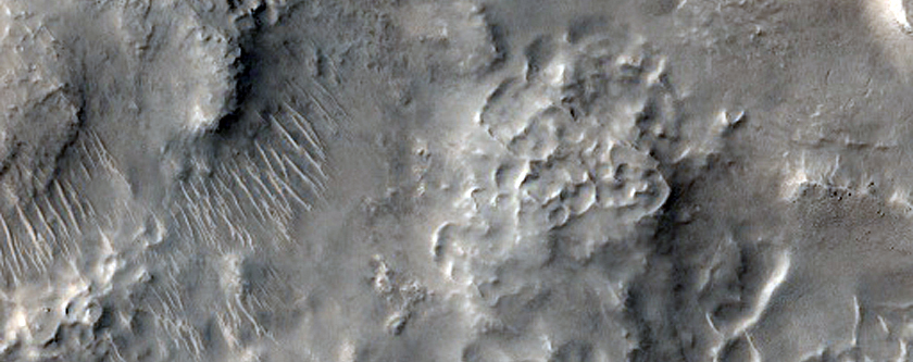 Layered Material within Small Crater in Nilosyrtis Mensae