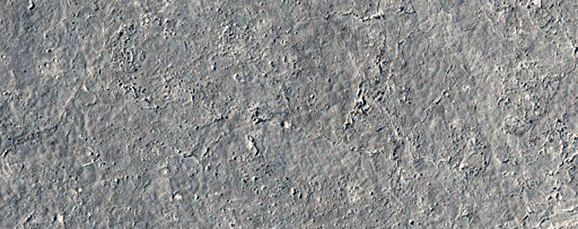 Hummocks in Elysium Planitia Crater