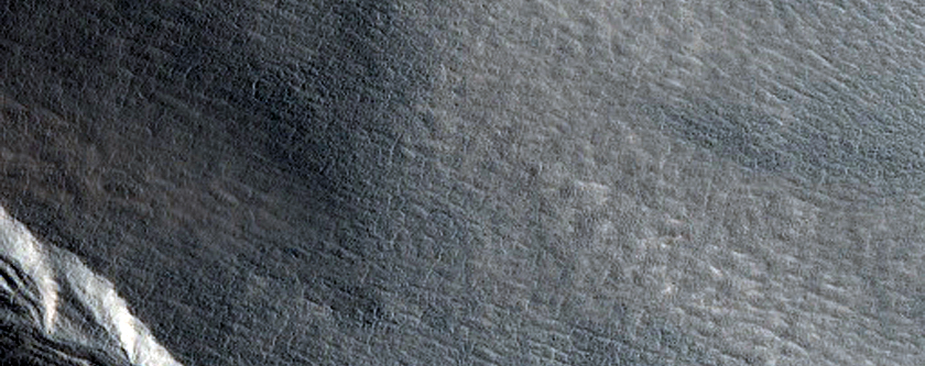 Gullied Crater Wall