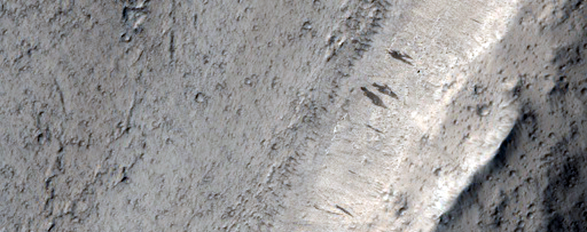 Amazonis Region