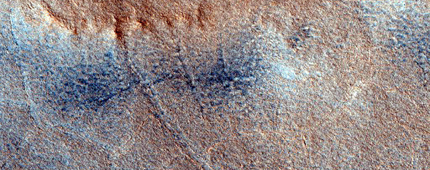 Mounds and Polygonal Features in Crater