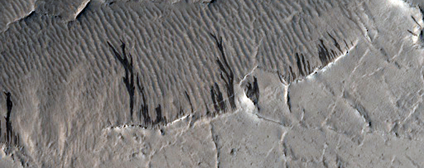 Filled Crater in Amazonis Planitia at End of Marte Vallis