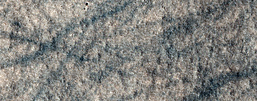 Northern Plains Sample