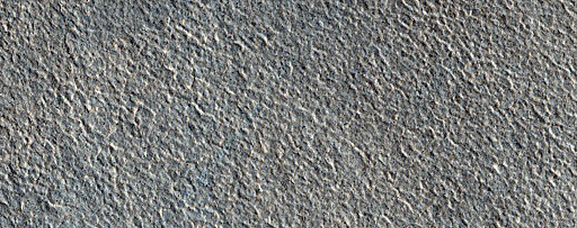 Northern Plains Sample
