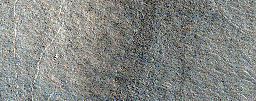 Northern Plains Sample