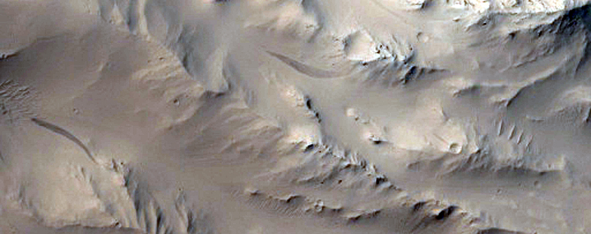 Fresh and Well-Preserved 20-Kilometer Diameter Impact Crater in Arabia Terr