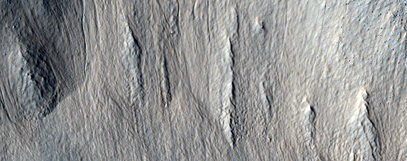 Gullies on Hill