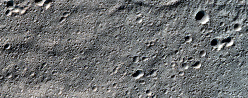 Fresh-Looking Gullies