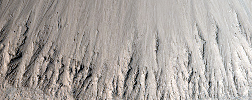 Telz Crater Flat Floor as Seen in CTX Image