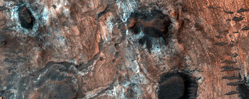 Clay Diversity on Mawrth Vallis Flank