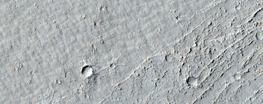 Light-Toned Candidate Impact Cluster near Tartarus Colles