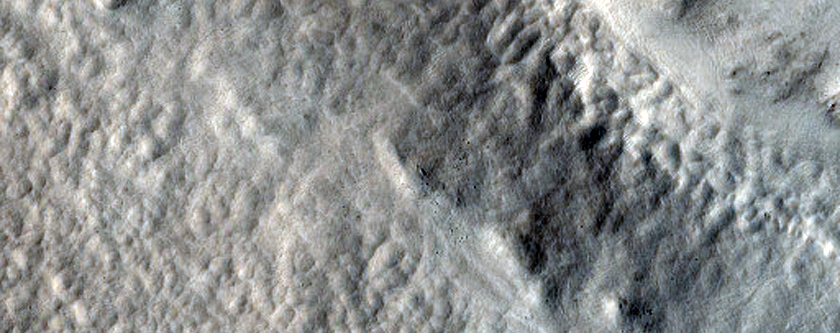 Nilosyrtis Mensae Fretted Terrain