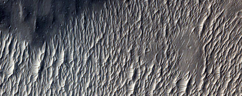 West Apollinaris Sulci