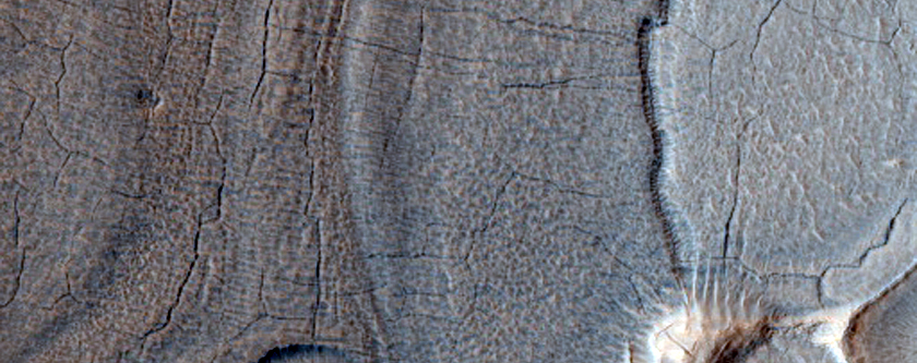 Nilosyrtis Fretted Terrain
