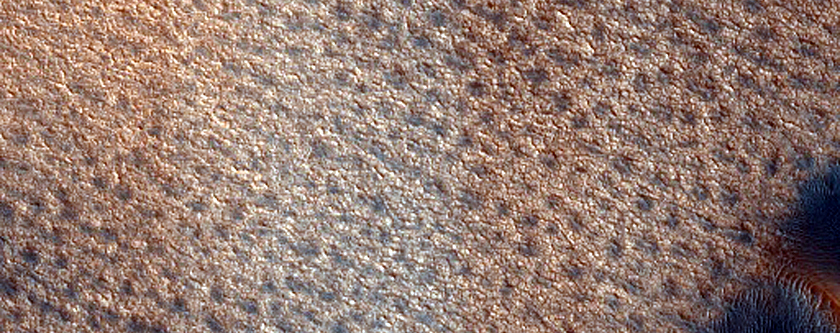 Dunes in Mars’ Polar Erg