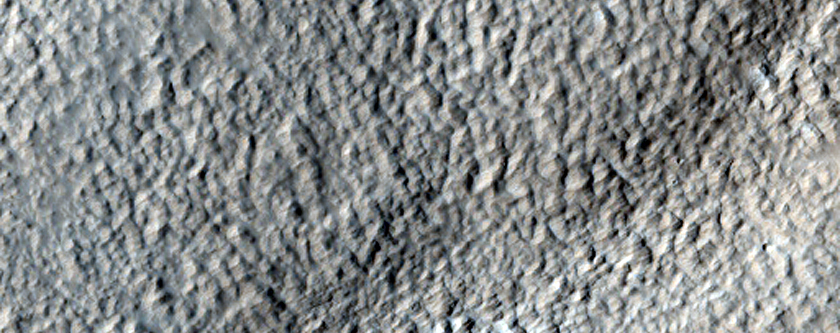 Nilosyrtis Region Dichotomy Boundary