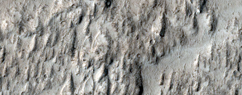 Northern Amazonis Planitia Landforms