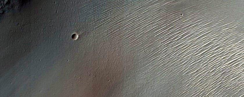 Possible Phyllosilicate-Rich Terrain