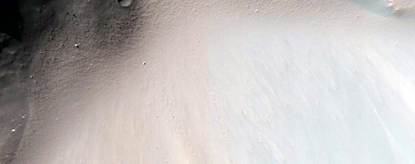 Light-Toned Rock Outcrop in Wall of Columbus Crater