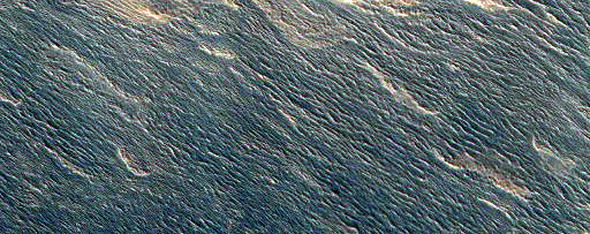 Steep North-Polar Boundary Scarp