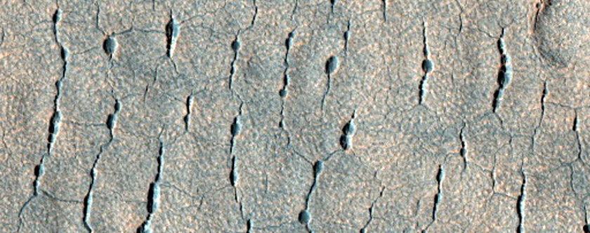 Pitted and Scallop Terrain