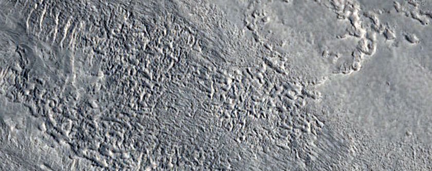Gullied Crater Wall