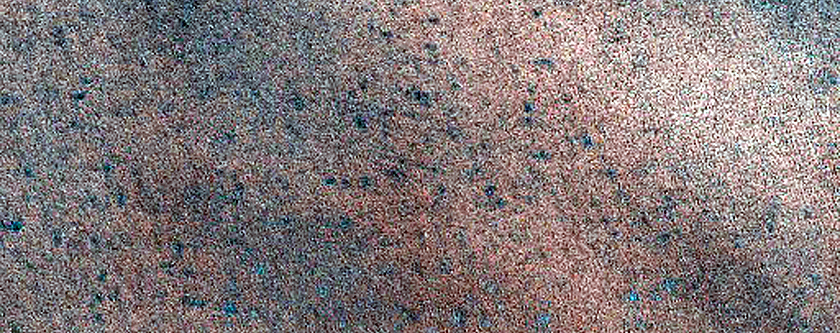 Sustained Bright Patches on Polar Ice Cap