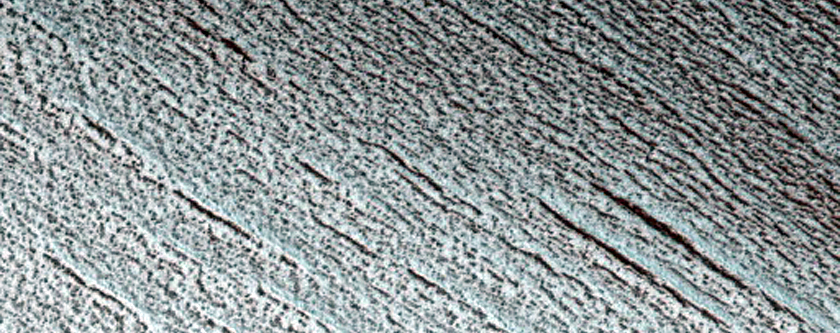 Sustained Bright Patches on Polar Ice Cap