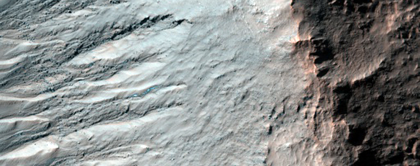 Gullied Crater Wall
