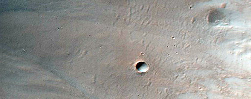 Gullied Crater Wall