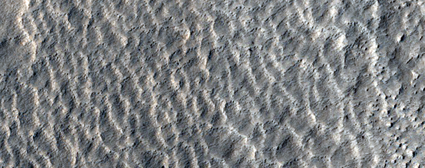 Fresh Impact Formed between October 2008 and January 2010