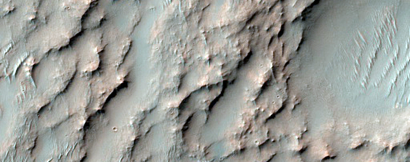 Possible Phyllosilicate-Rich Terrain