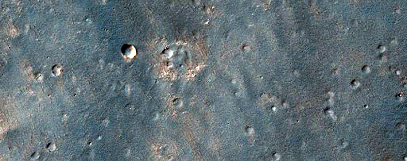Daedalia Planum Albedo Pattern and Wind Streaks