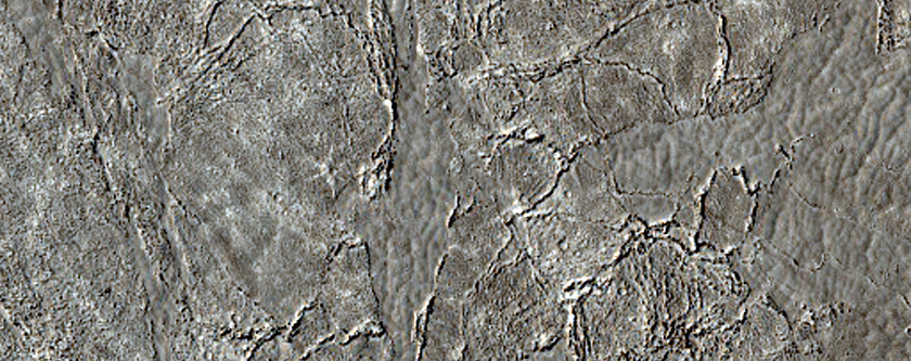 Western Portion of Elysium Planitia Flood Lavas