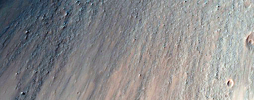 Possible Phyllosilicate-Rich Terrain near Fissures in Margaritifer Terra
