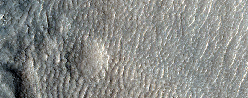 Possible Gullies