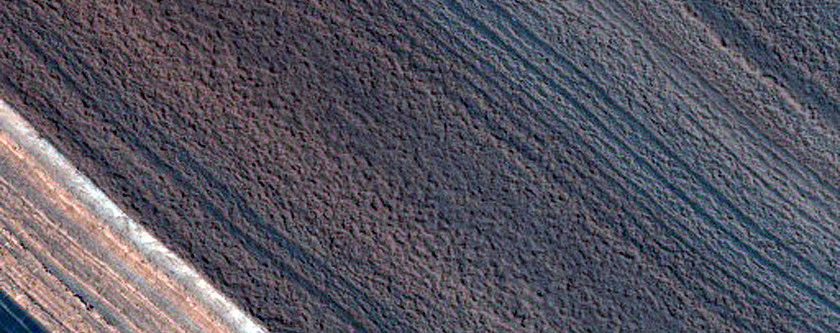 Steep North-Polar Boundary Scarp