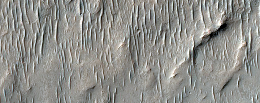 Rocky Deposit on Floor of Newcomb Crater