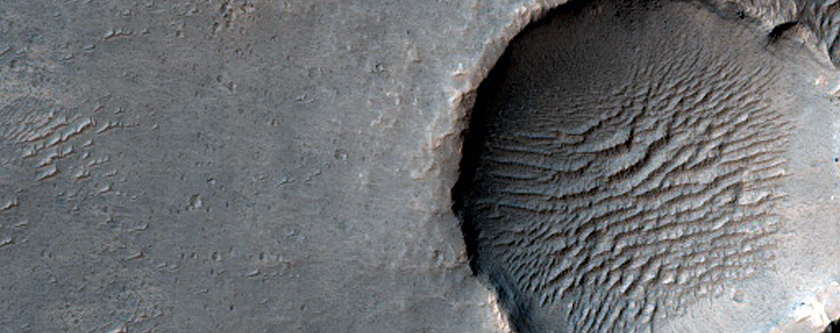 Possible Light-Toned Layering along Plains Southwest of Melas Chasma