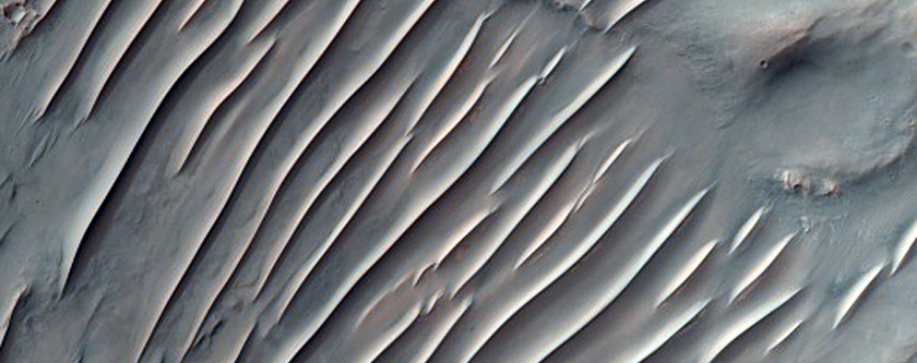 Central Structure of a Highly Oblique Impact Crater