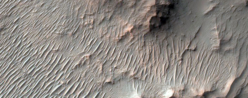 Well-Exposed Central Uplift in Crater