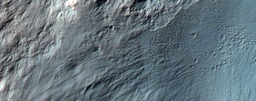 Recent Gully Activity in Gasa Crater