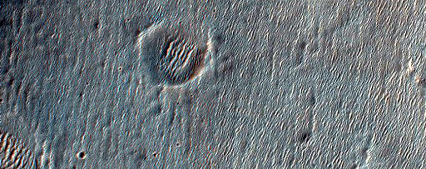 Sinuous Ridges in Eastern Peta Crater