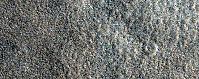 Northern Plains Terrain
