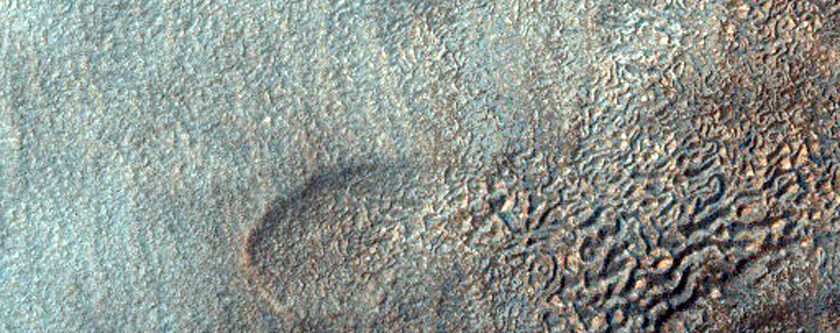 Modified Well-Preserved Crater near Hellas Planitia
