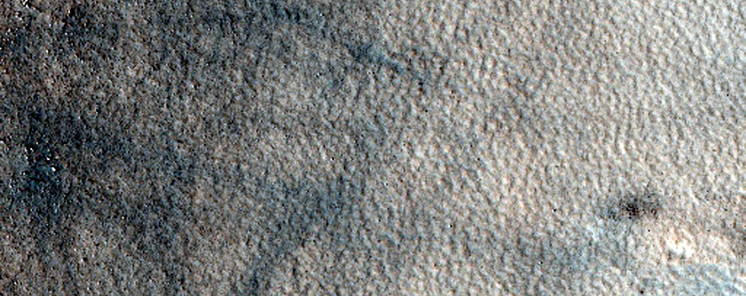 Northern Plains Terrain