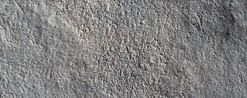 Northern Tempe Terra