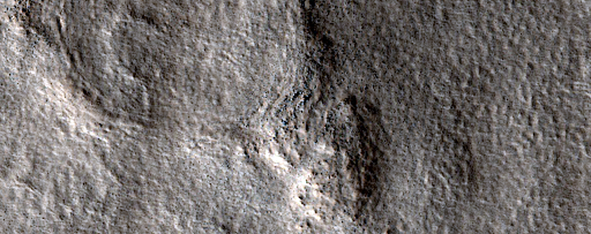 Northern Plains Terrain